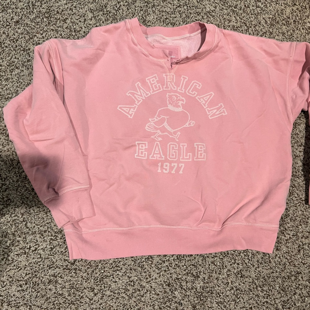 American Eagle Soft Pink Hoodie